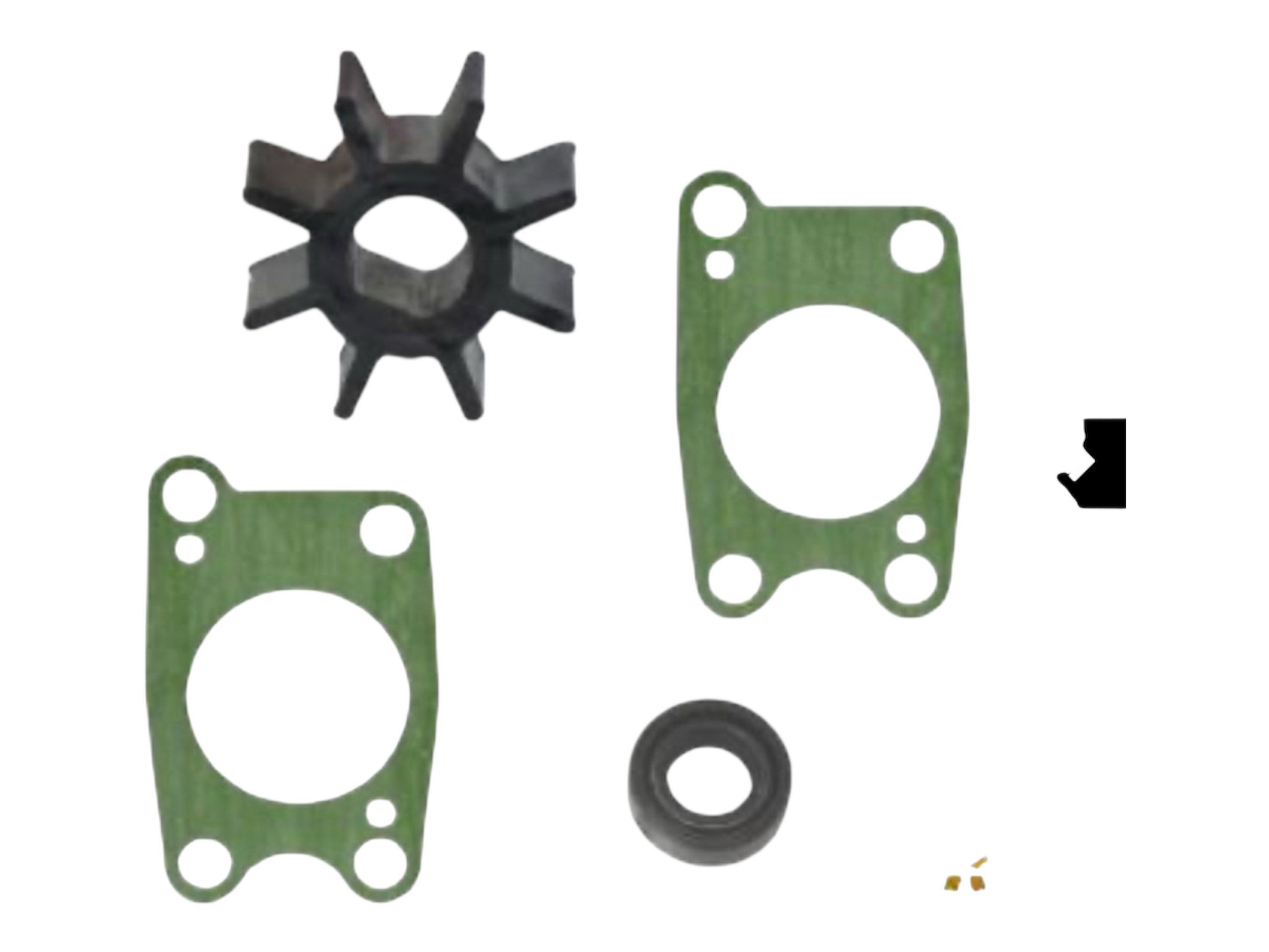 Vandens pompos remontinis rinkinys